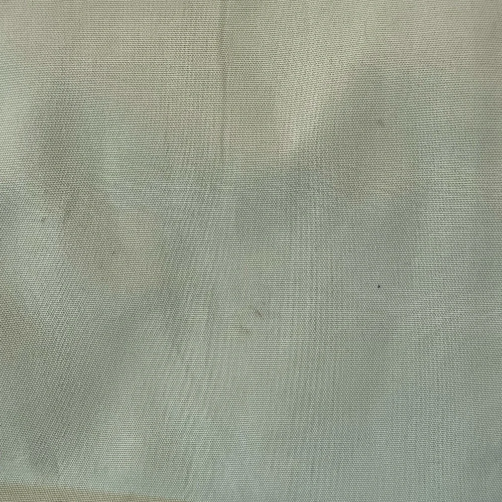 Pottery Barn 2 light green cotton drapery panels